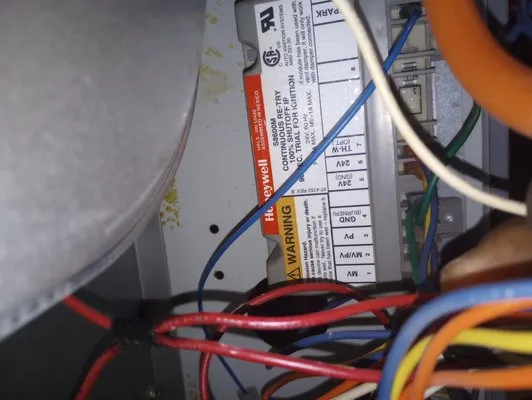 A.N.T. Homeservices Logo