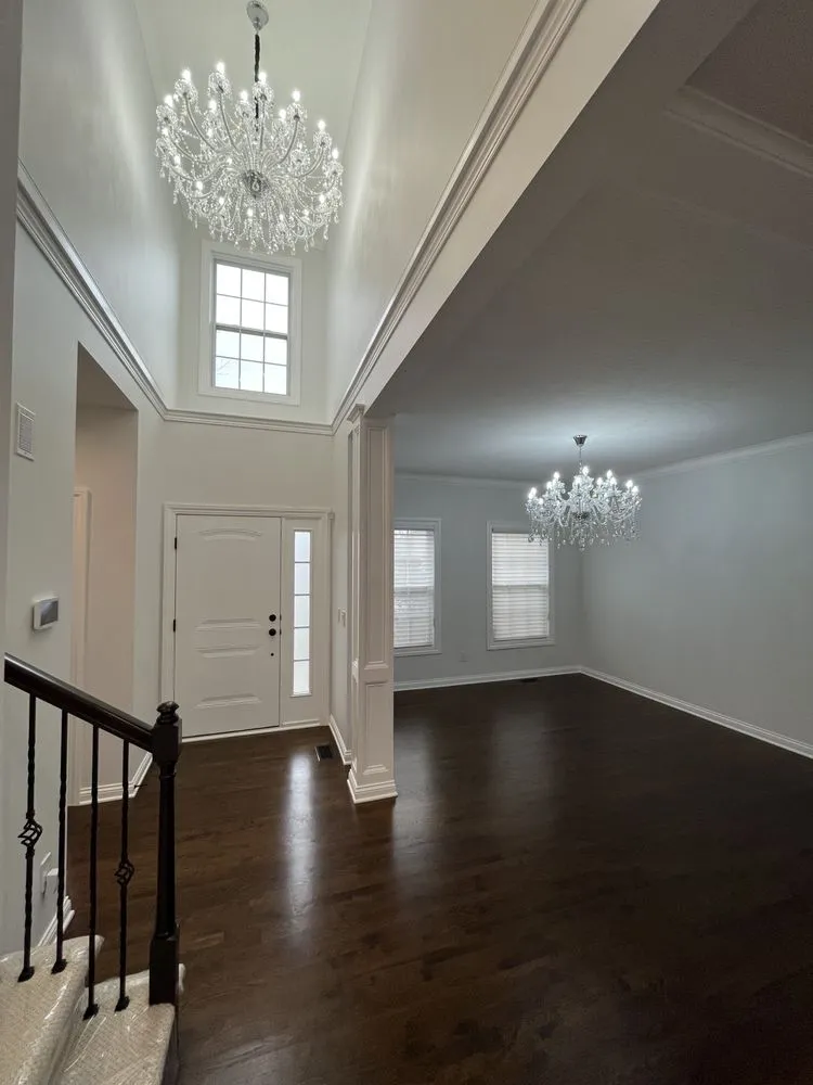 Slide of Ant Renovation