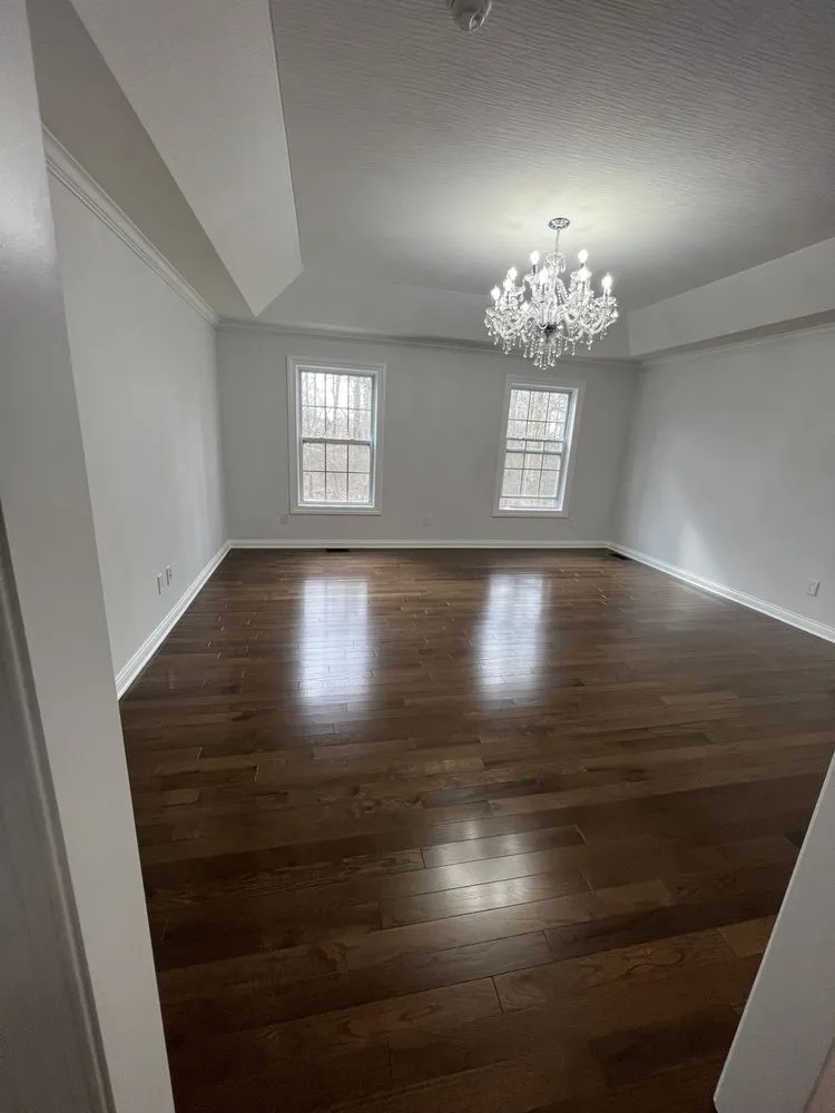 Slide of Ant Renovation