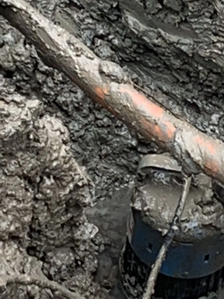 Slide of Anthony & Son