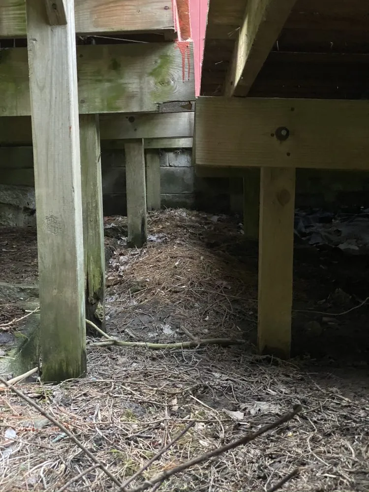 Slide of Anthony & Son