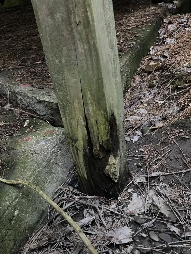 Slide of Anthony & Son