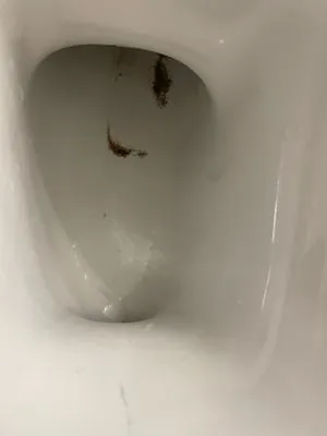 Anthony Brooks Plumbing