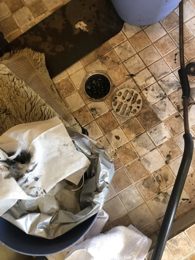 Slide of Anthony Carlson Drain Service