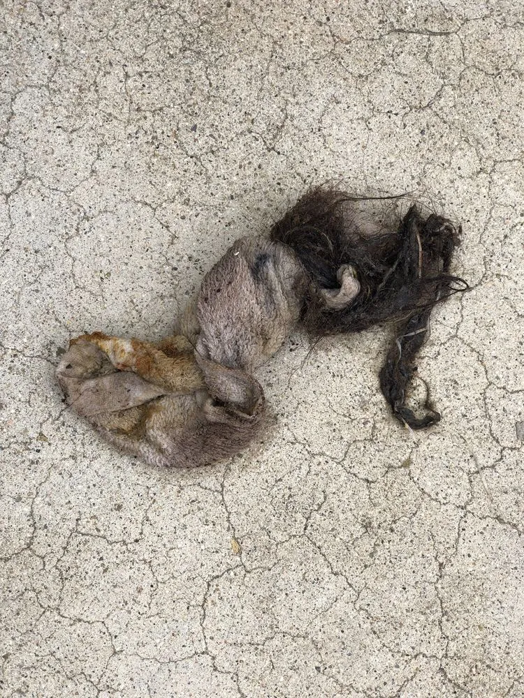 Slide of Anthony Carlson Drain Service