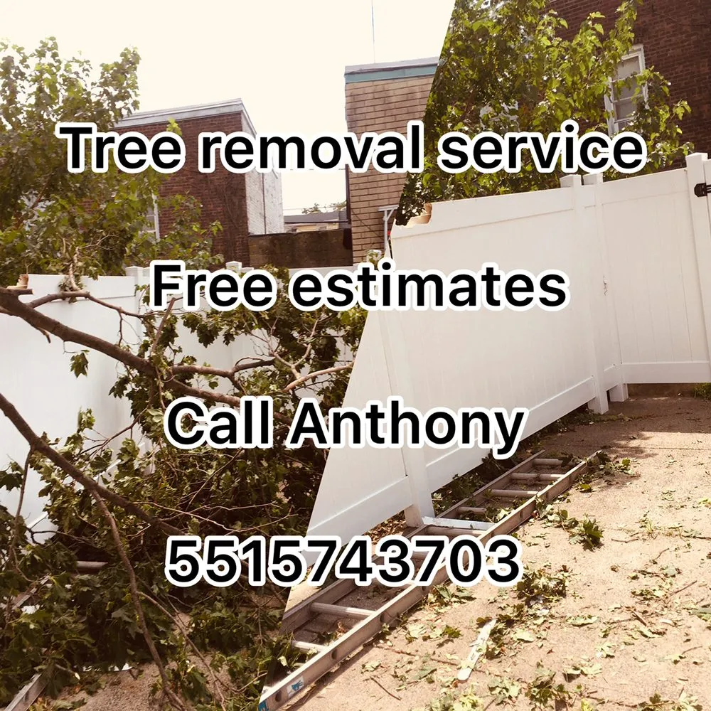 Slide of Anthony's A+ Handy Man Service