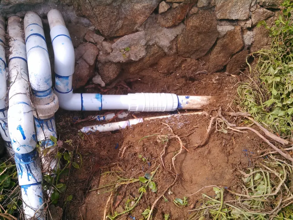 Slide of Anthony's All Service