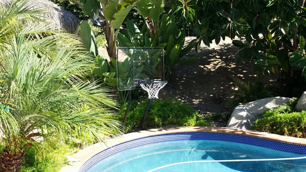 Slide of Anthony's All Service