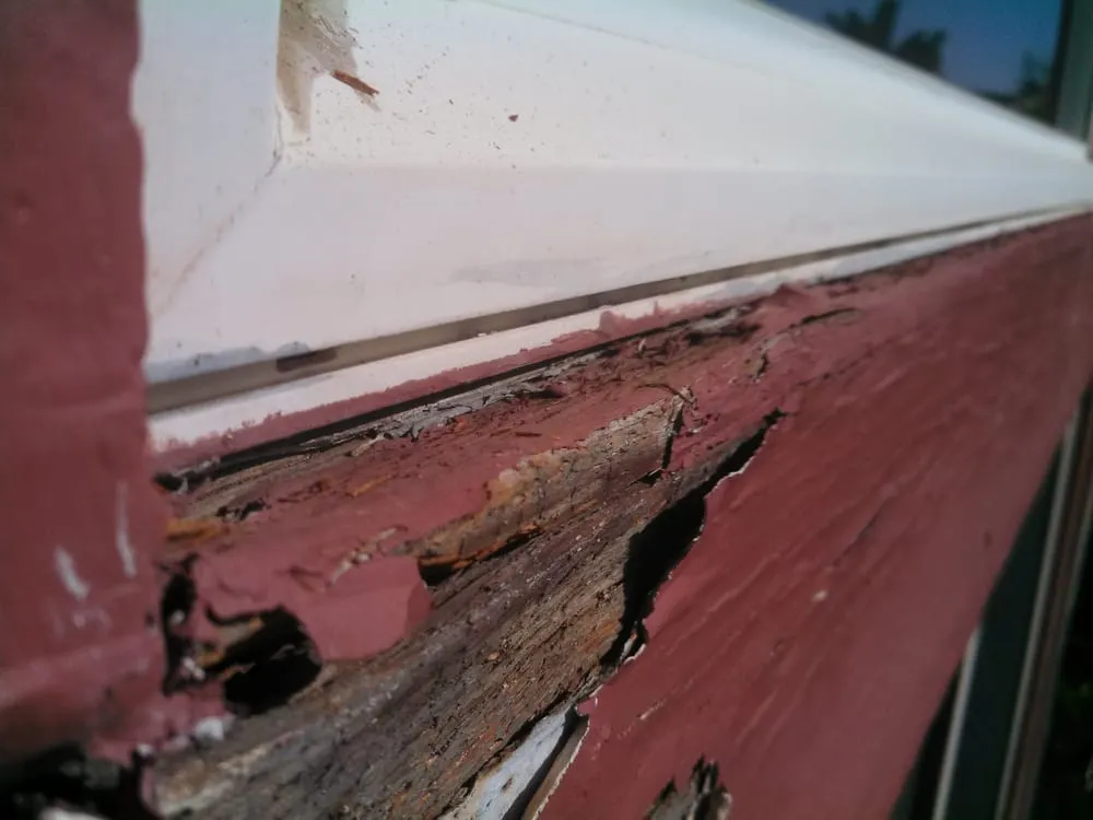 Quality pipe repair service in Valley Center, CA - Anthony's All Service