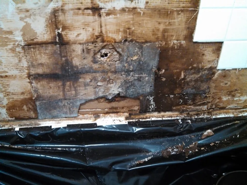 Trusted drain cleaning in Valley Center, CA by Anthony's All Service