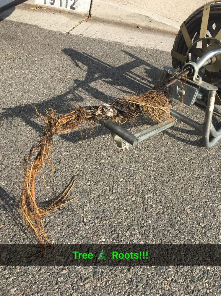 Expert emergency plumbing experts serving Huntington Beach, CA - Anthony's Plumbing And Drain Cleaning