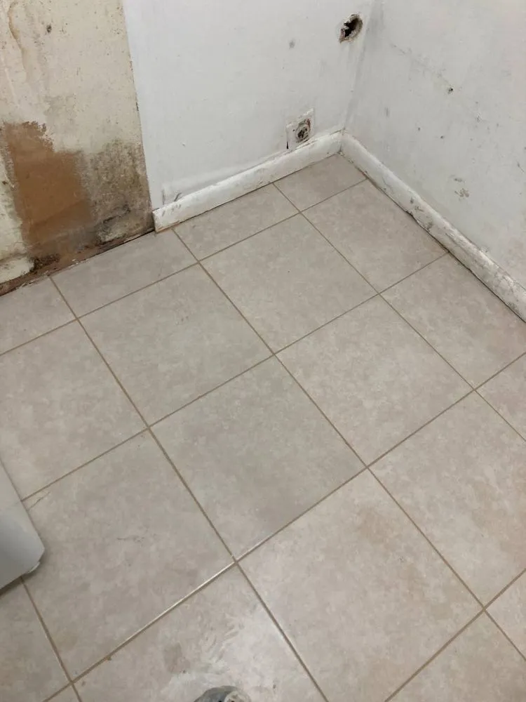 Slide of Anton Cherkashin