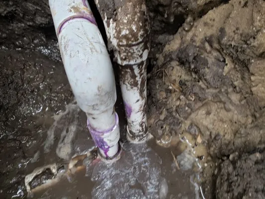 Antonio's Plumbing Sewer & Drain Service Logo