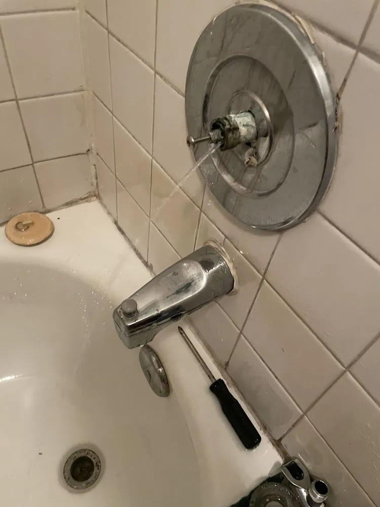 Slide of Ant's Handyman Service