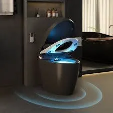 Slide of Any Toilet Plumbing