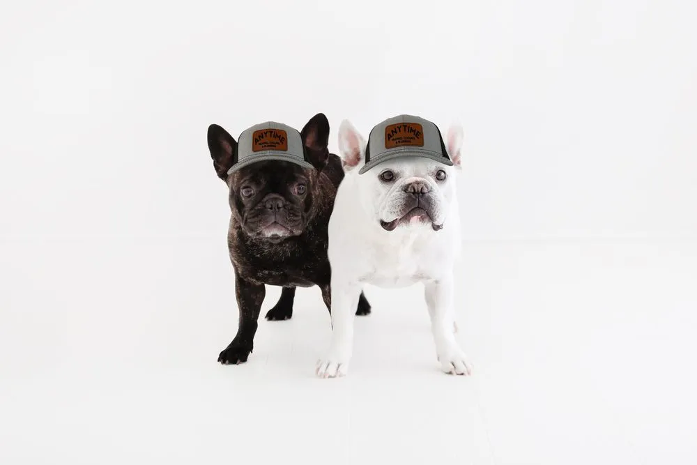 Slide of Anytime Heating, Cooling And Plumbing