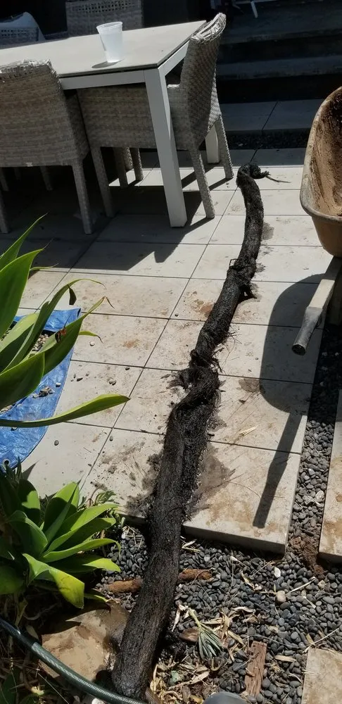 Reliable plumbing repair in Marina del Rey, CA by Anytime Jetting