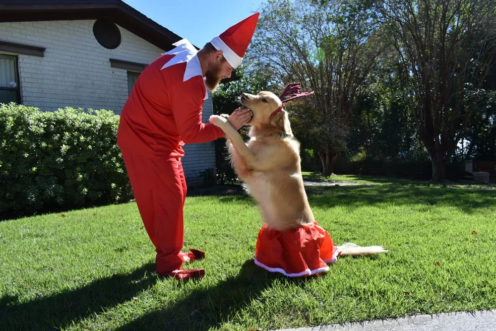 Slide of Anytime Plumber