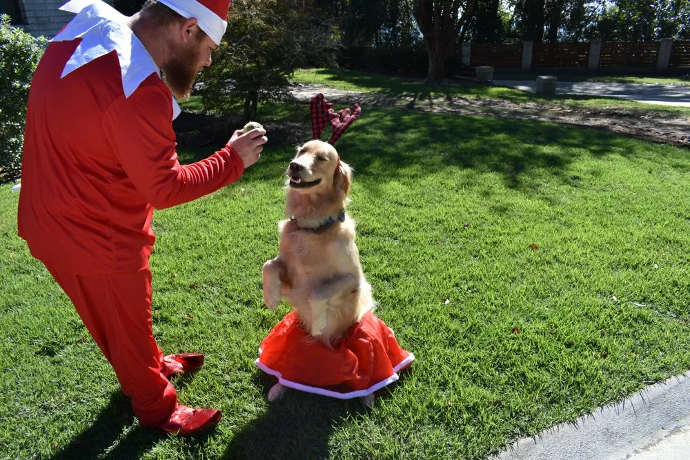 Slide of Anytime Plumber