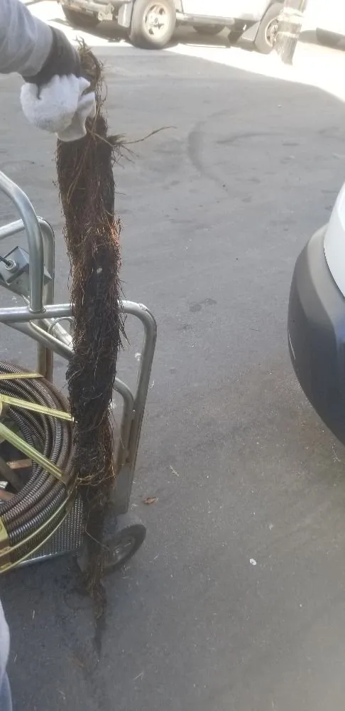 Slide of Anytime Rooter