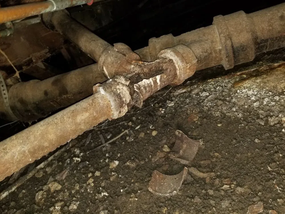 Slide of Anytime Rooter