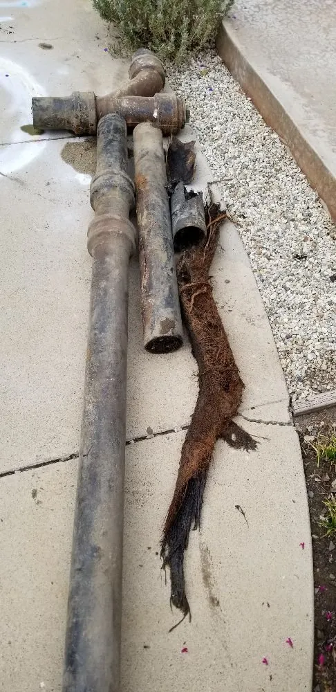 Slide of Anytime Rooter