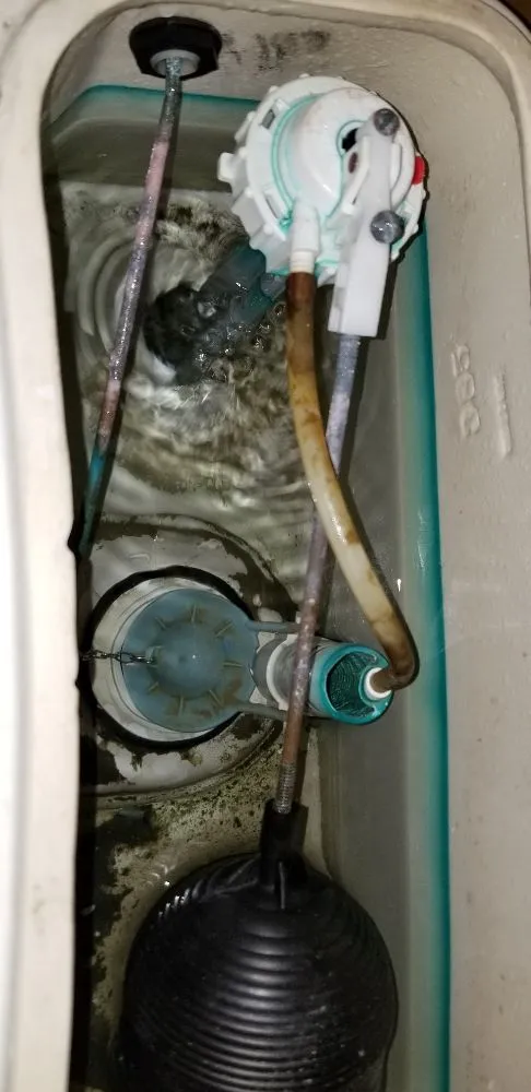 Slide of Anytime Rooter