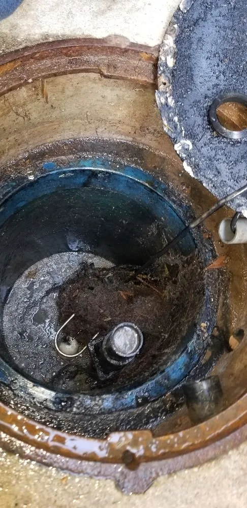 Top-rated emergency plumbing experts serving Marina Del Rey, CA - Anytime Rooter