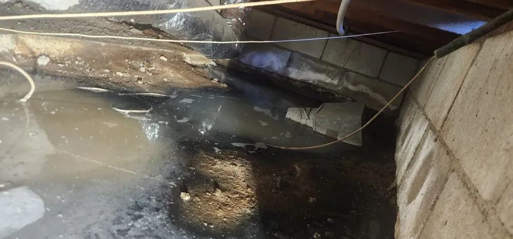 Slide of Anytime Rooter