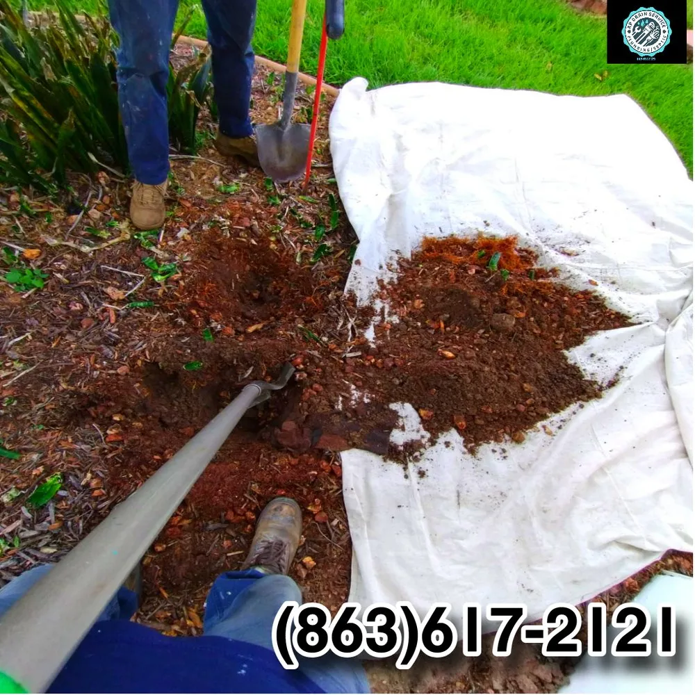 Slide of AP Drain Service