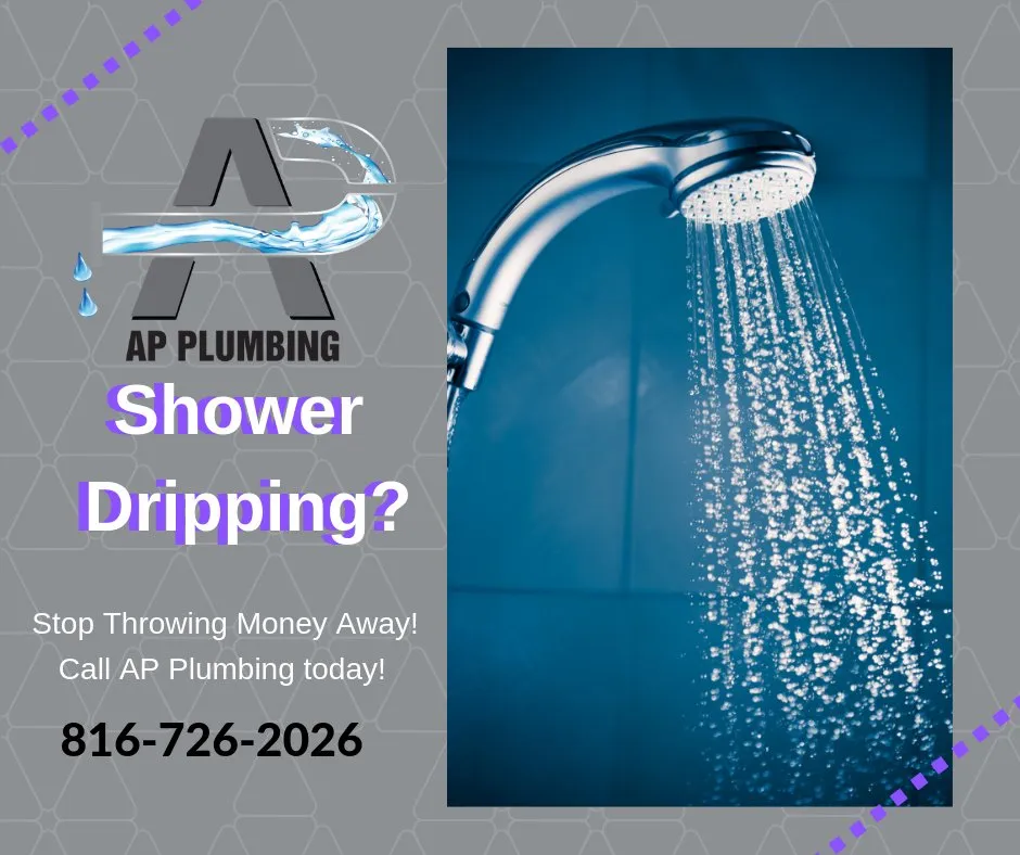 Slide of AP Plumbing