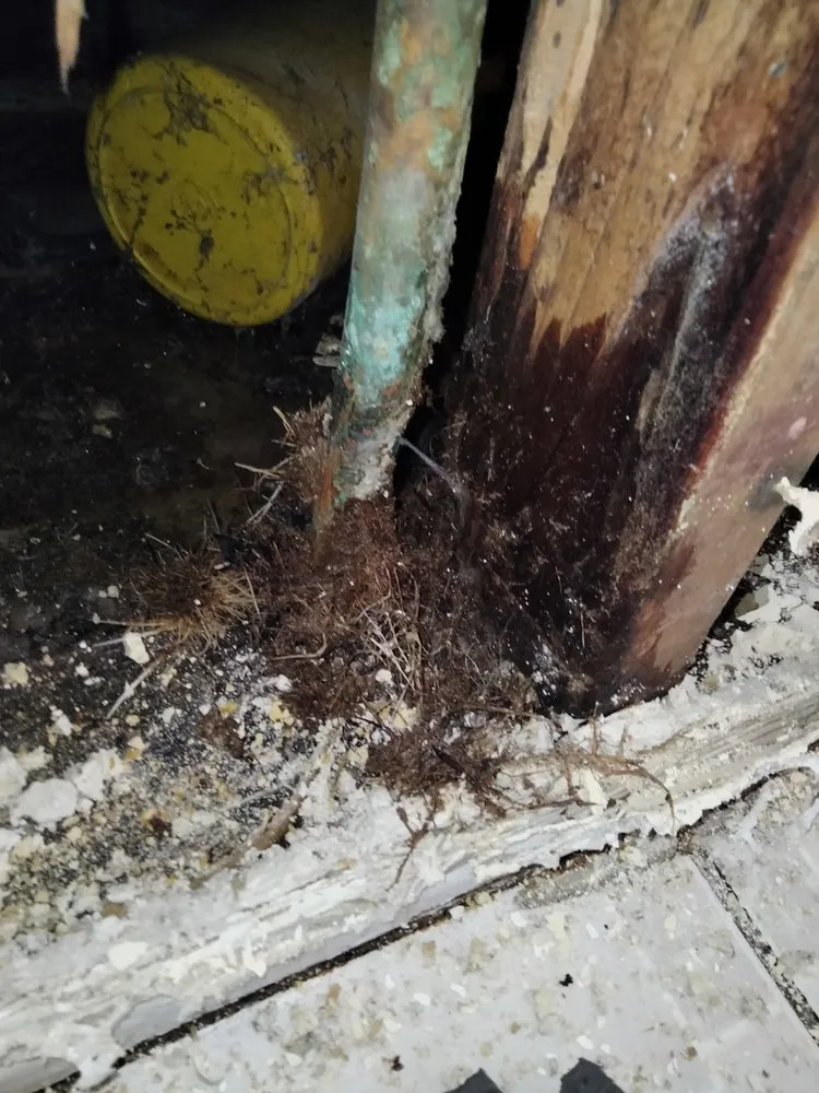 Slide of AP Plumbing Service