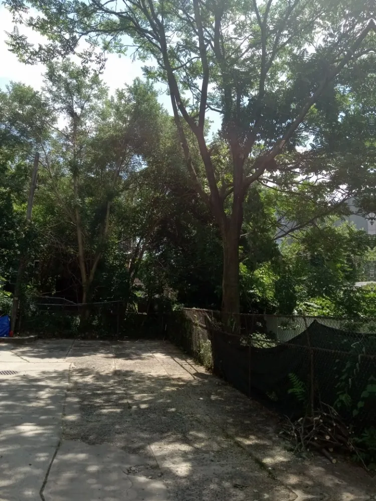 Slide of AP Servicios Generales