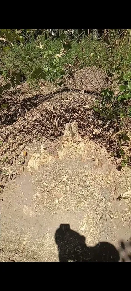 Slide of AP Servicios Generales