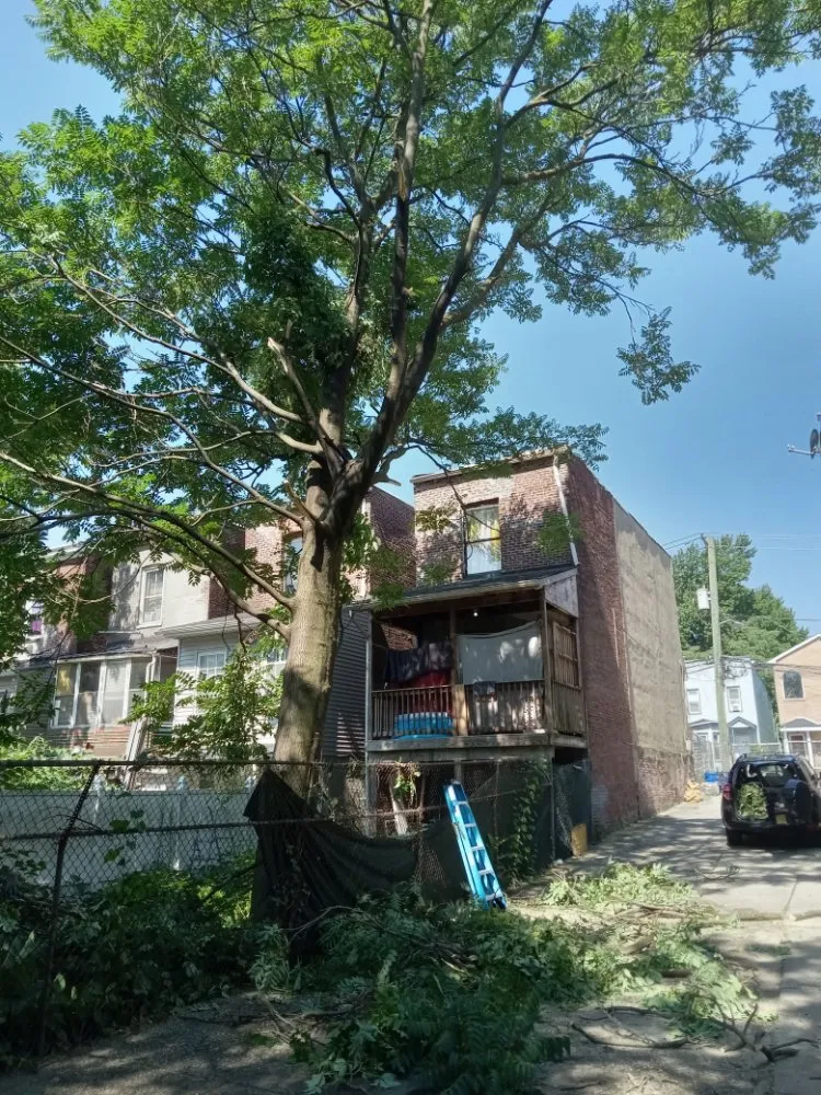 Slide of AP Servicios Generales