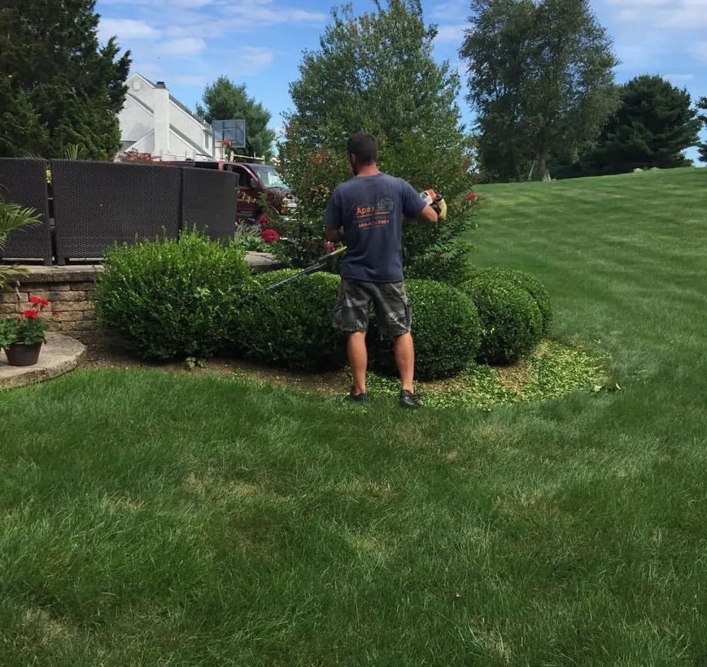 Slide of Apex Handyman Service