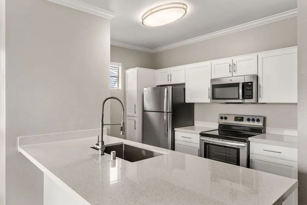 Slide of Apex Pacific Coast