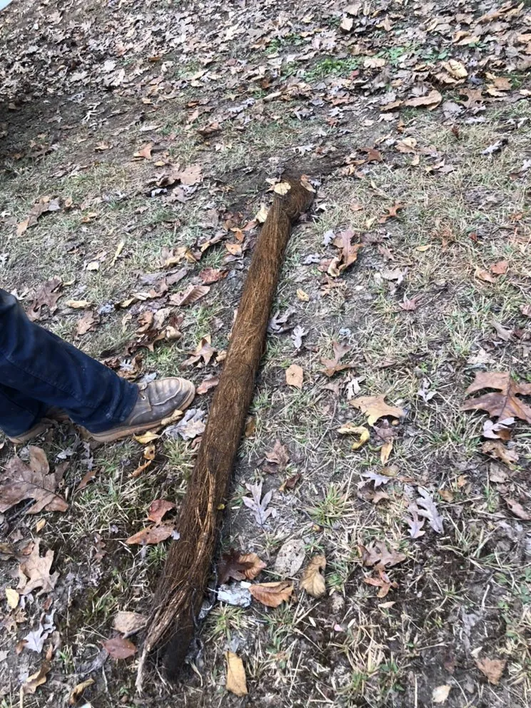 Quality drain cleaning experts serving Powder Springs, GA - APEX Plumbing