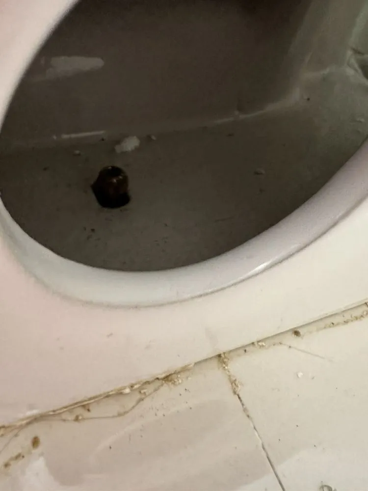 Slide of Apex Plumbing