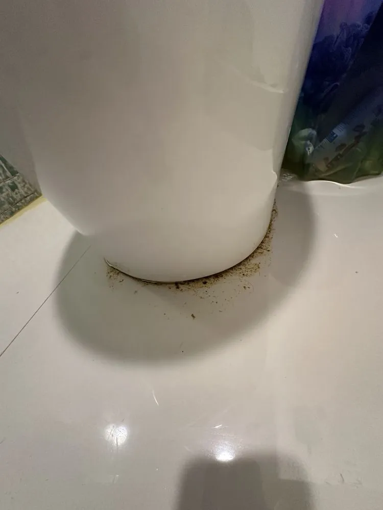 Slide of Apex Plumbing