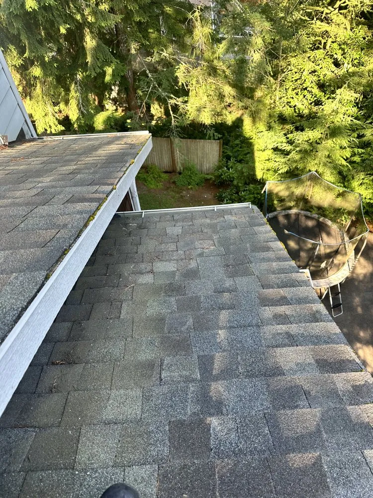 Slide of Apex Pro Kleening