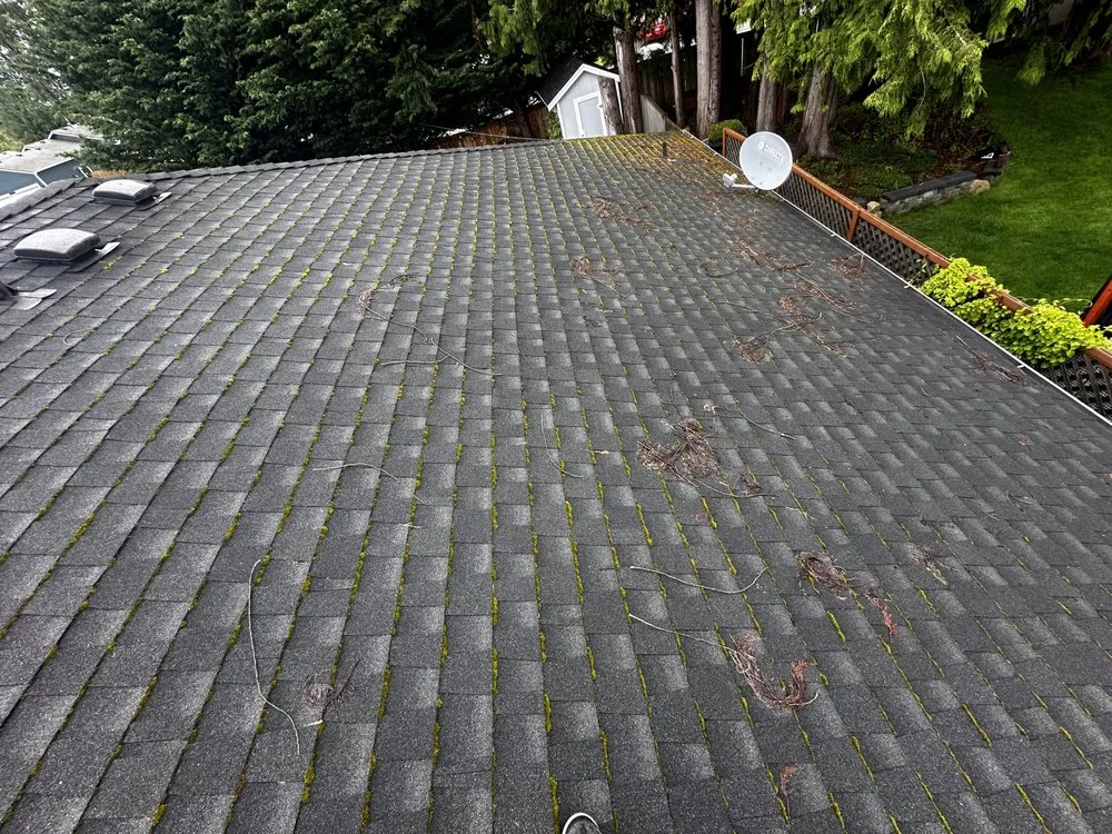 Slide of Apex Pro Kleening