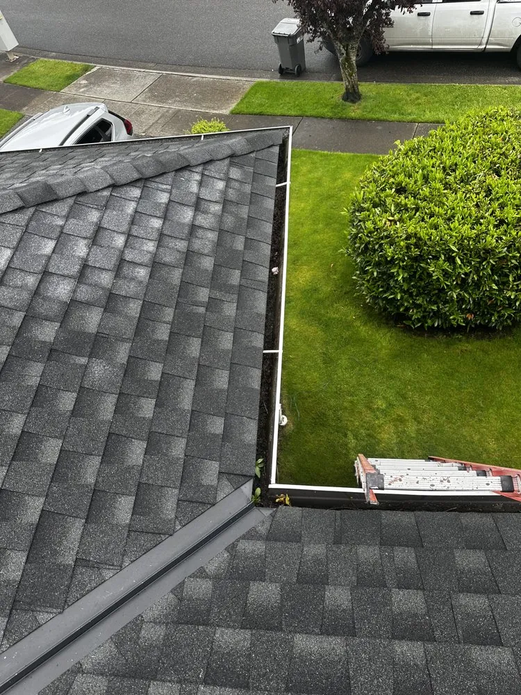 Slide of Apex Pro Kleening