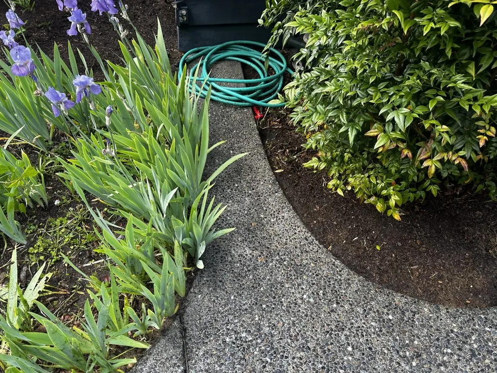 Slide of Apex Pro Kleening