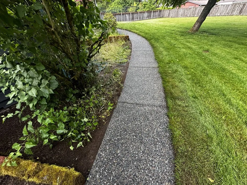 Slide of Apex Pro Kleening