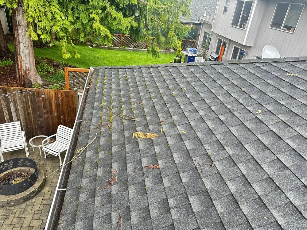 Top-rated leak detection service in Everett, WA - Apex Pro Kleening
