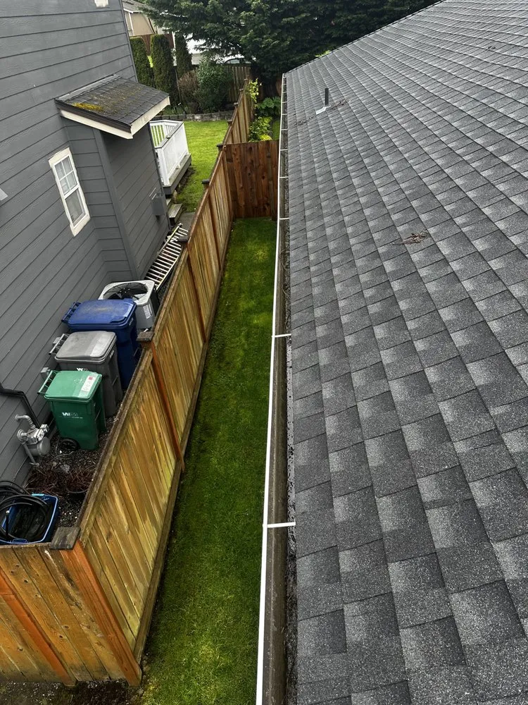 Slide of Apex Pro Kleening