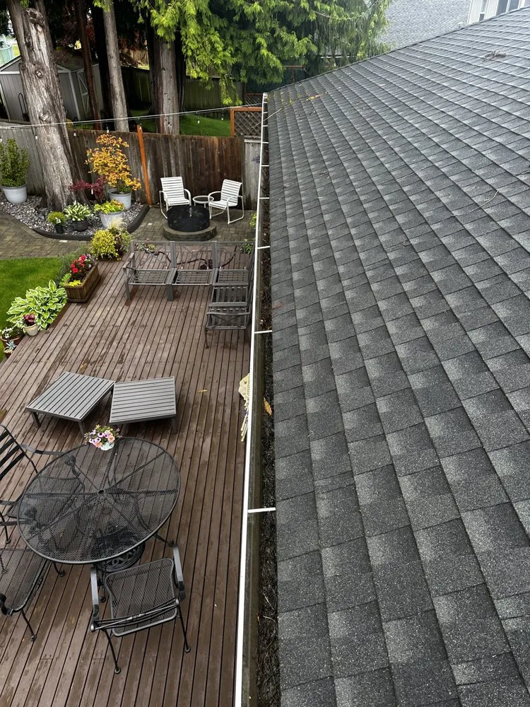 Slide of Apex Pro Kleening