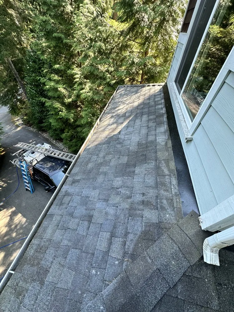 Slide of Apex Pro Kleening