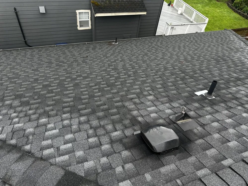 Slide of Apex Pro Kleening